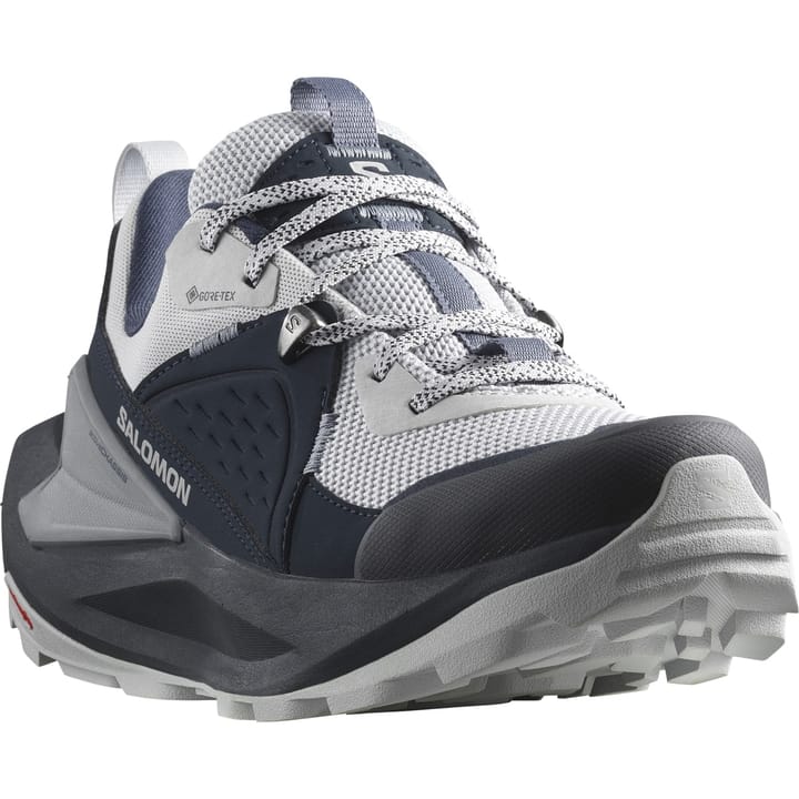 Salomon Women's Elixir GORE-TEX Carbon/Pearl Blue/Flint